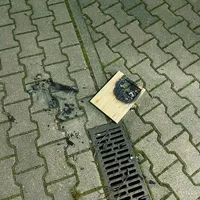 F0E2BD87-5F4D-4ED7-AE76-1B1E88A08605.jpeg